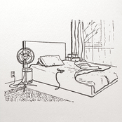 The Fan