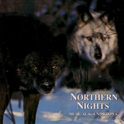 Northern Nights