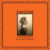 Fruits Of Wrath/12 Lost And Unreleased Tracks From The Greek 80's Underground