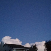 only thing i'm fit to take care of is a house plant