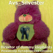 Director of dummy elephants