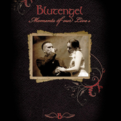 When The Rain Is Falling by Blutengel