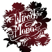 Wired For Mono