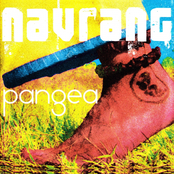 Pangea by Navrang