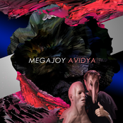 megajoy