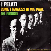 Come i Ragazzi di Via Paal