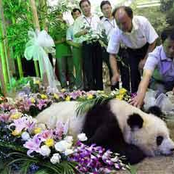 I'm Just A Little Girl