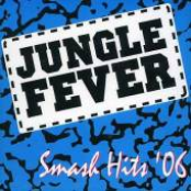 Never Again by Jungle Fever