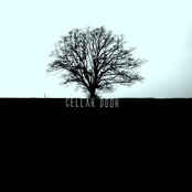 Cellar door