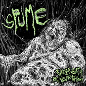 Spider Birth Reingurgitation