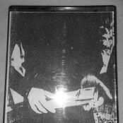 Total Tiger Beat Demo