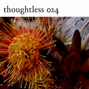TLM024 | Smell Good