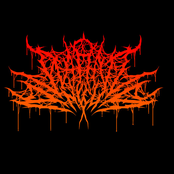 THROUGH THIS COLLAPSE