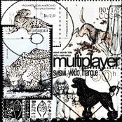 Multiplayer