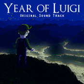 Year of Luigi
