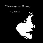 Tonight by The Evergreen Donkey