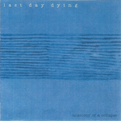 Anatomy of a Collapse (2002)