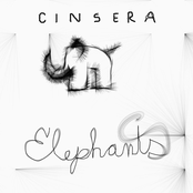Elephants