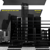 Night In Detroit (feat. Fedde Le Grand) - Single