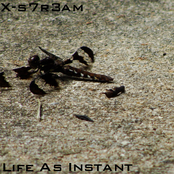 Life As Instant