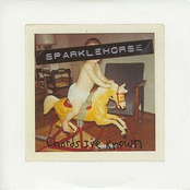 Almost Lost My Mind by Sparklehorse