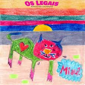 Bonito Pós Castração