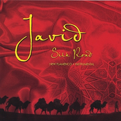 Silk Road by Javid