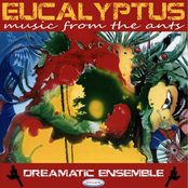 Eucalyptus : Music from the Ants