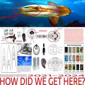 HOW DID WE GET HERE?: 2021-2024