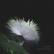 a conference of critters