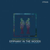 Epiphany in the Woods