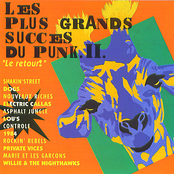Les Plus Grands Succes Du Punk Vol. 2