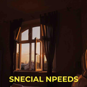 SPECIAL NEEDS