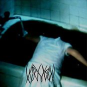 Vorxknot