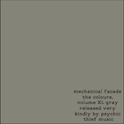 The Colours, Vol. XI: Gray