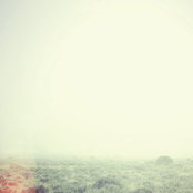 Not A Leaf Remains As It Was