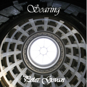 Soaring By Peter Govan