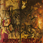 Karrionic Hacktician (Re-release)