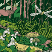 An Eight Out of Nine