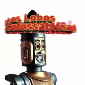 Mas Y Mas by Los Lobos