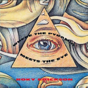 Lou Ann Barton: Where The Pyramid Meets The Eye: A Tribute to Roky Erickson