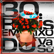 30 Reais Embaixo do Vaso