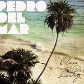 Playa Del Lounge (mixed by Pedro Del Mar)
