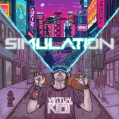 Simulation