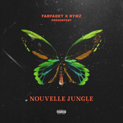 Nouvelle Jungle