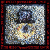 Six Amber Things by The Residents