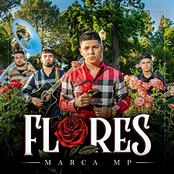 Marca MP: Flores