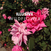 Wild Flower