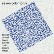 Seven Color Torus