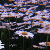 Margaritas Podridas: Wow